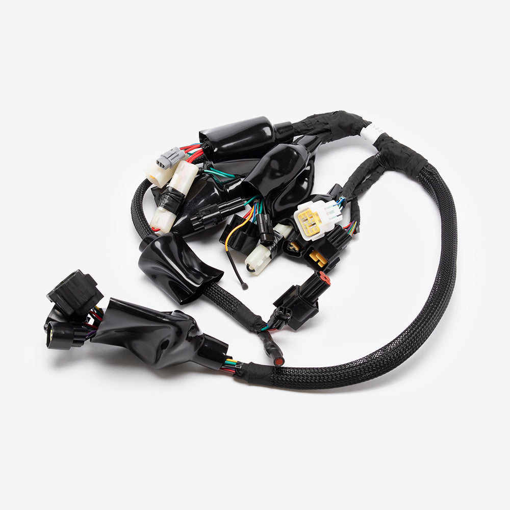 Wiring Loom