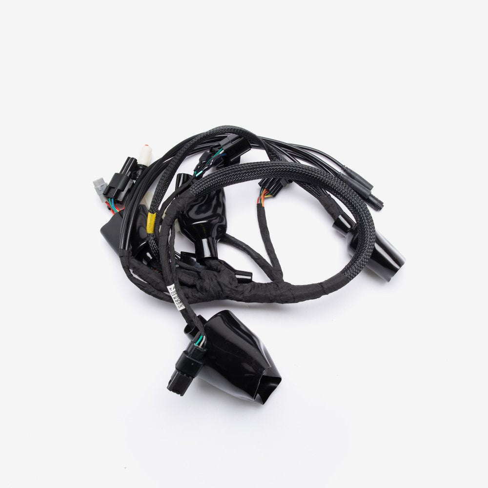 Wiring Loom 2