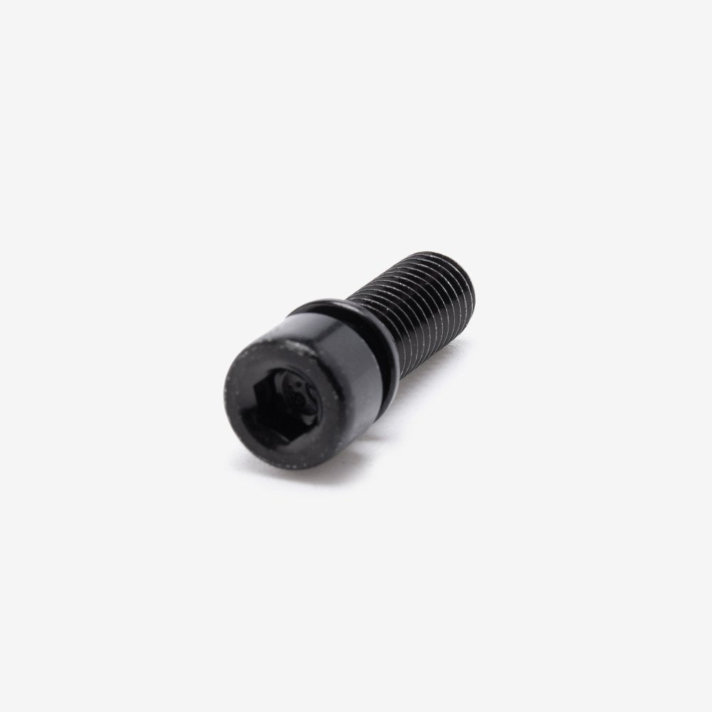 Bolt with Washer