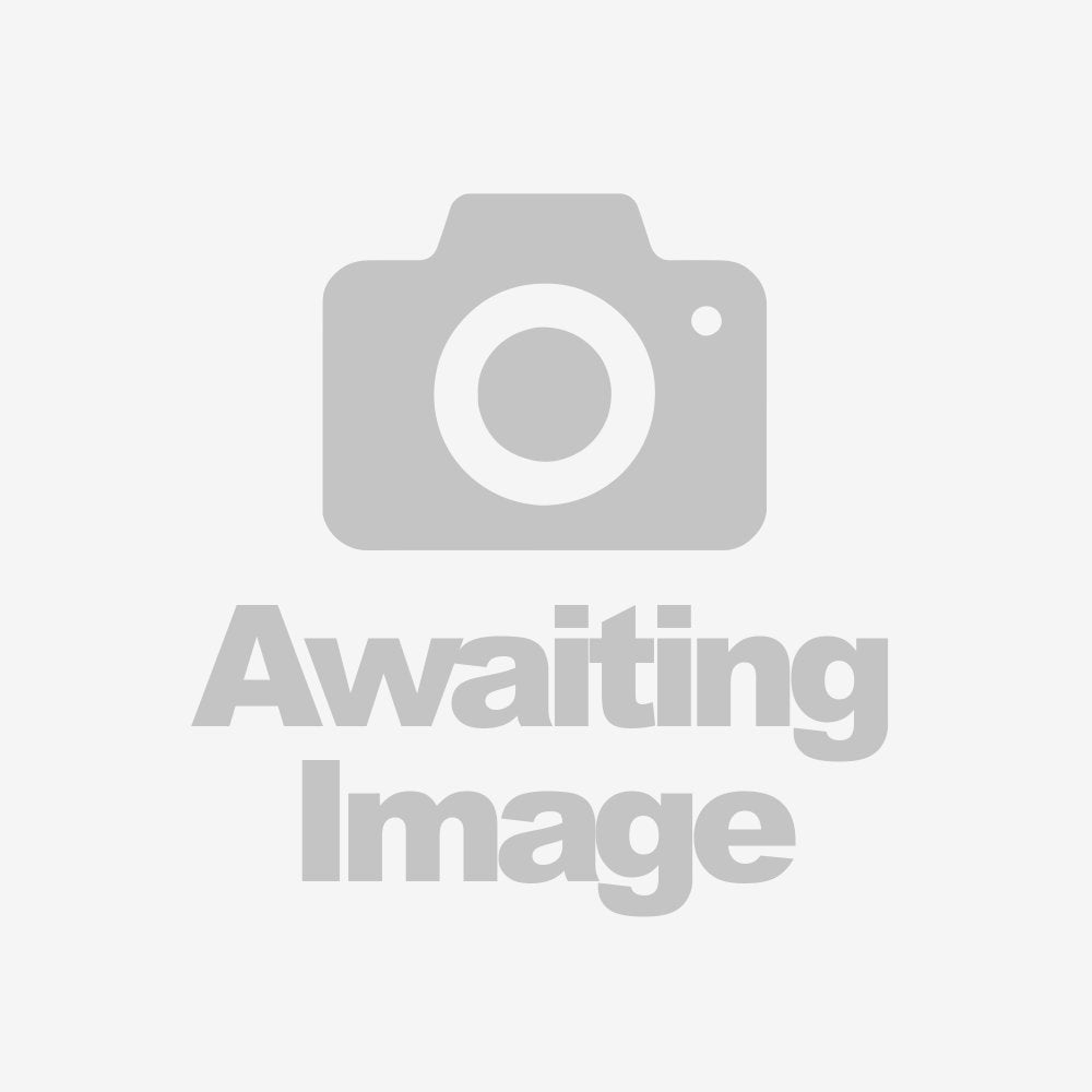 Rear Brake Disc