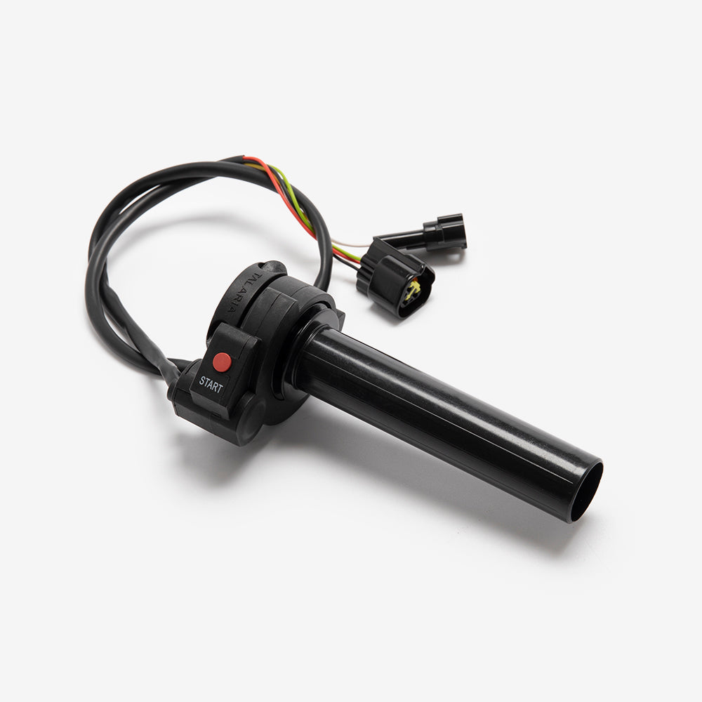 Electric Throttle Assembly