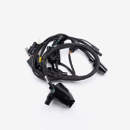Wiring Loom 2