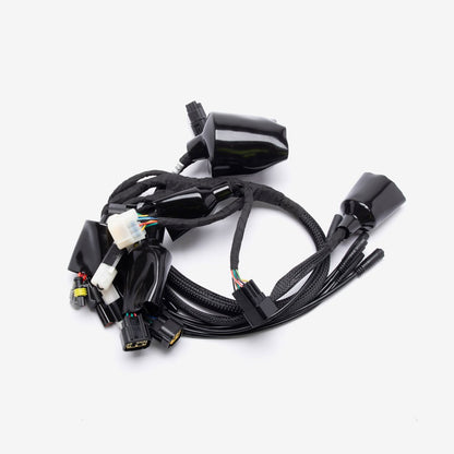 Wiring Loom