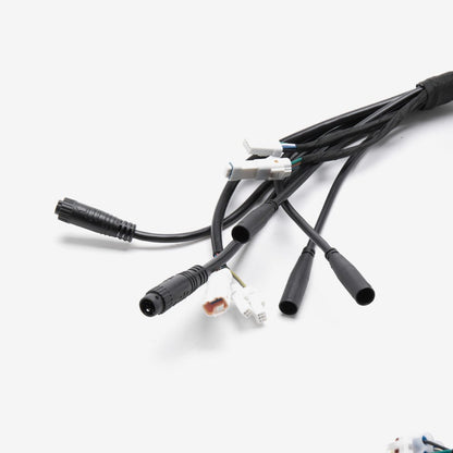 Wiring Loom 2