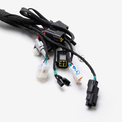 Wiring Loom 3