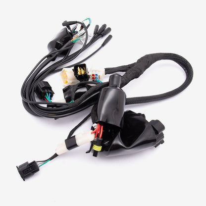Wiring Loom 4