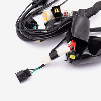 Wiring Loom 5