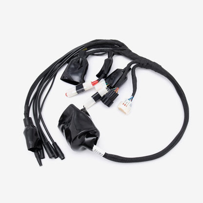 Wiring Loom