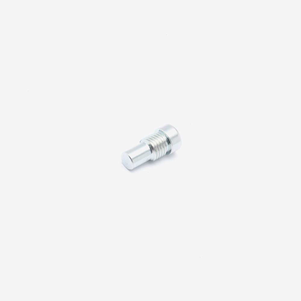 Battery Compartment Cover Bolt M8 x 19mm 2