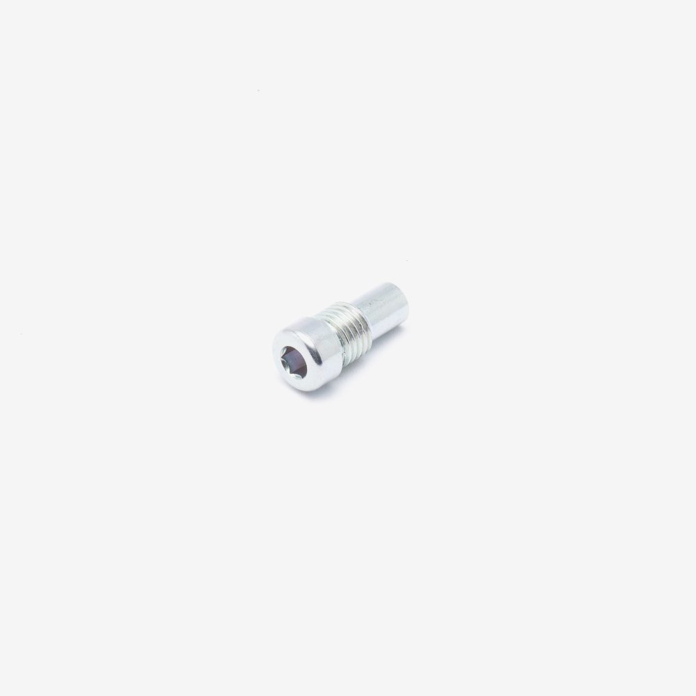 Battery Compartment Cover Bolt M8 x 19mm