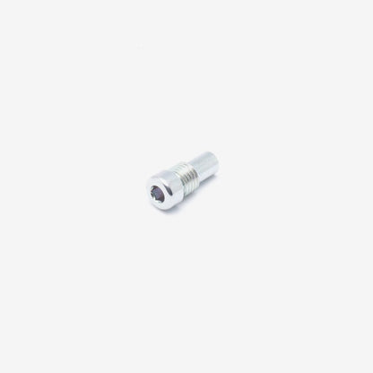 Battery Compartment Cover Bolt M8 x 19mm