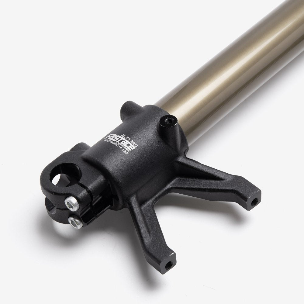 FastAce Front Suspension (Pair) - Gold Cap 2