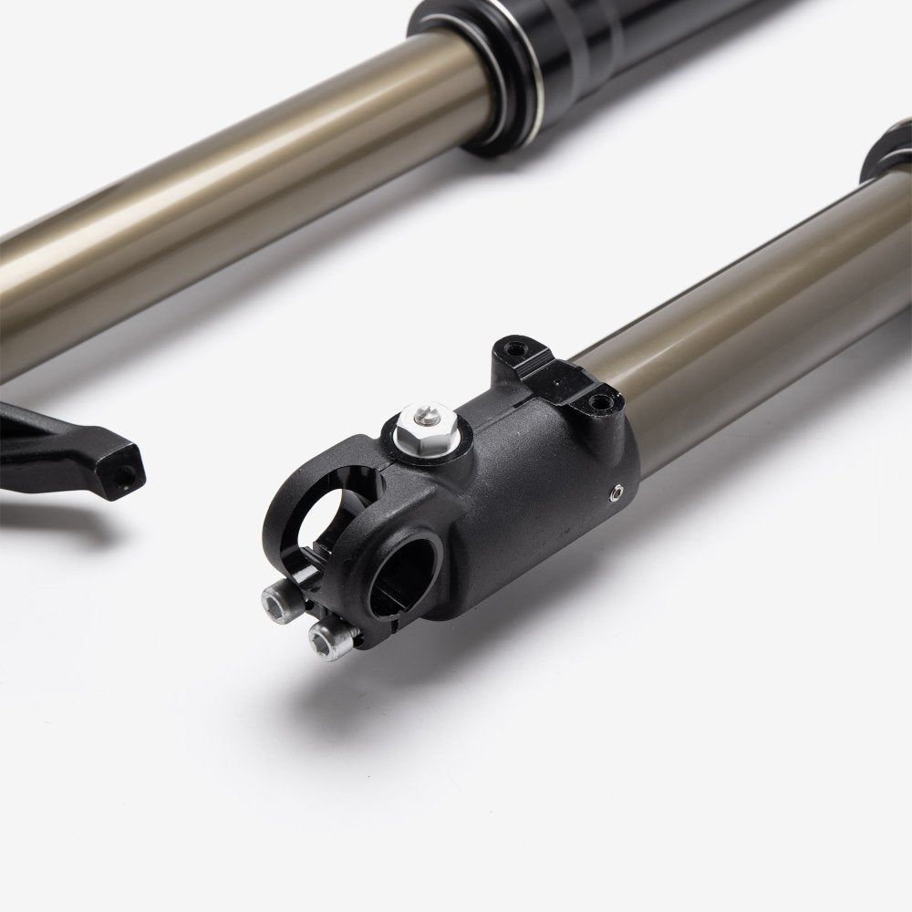 FastAce Front Suspension (Pair) - Gold Cap 3