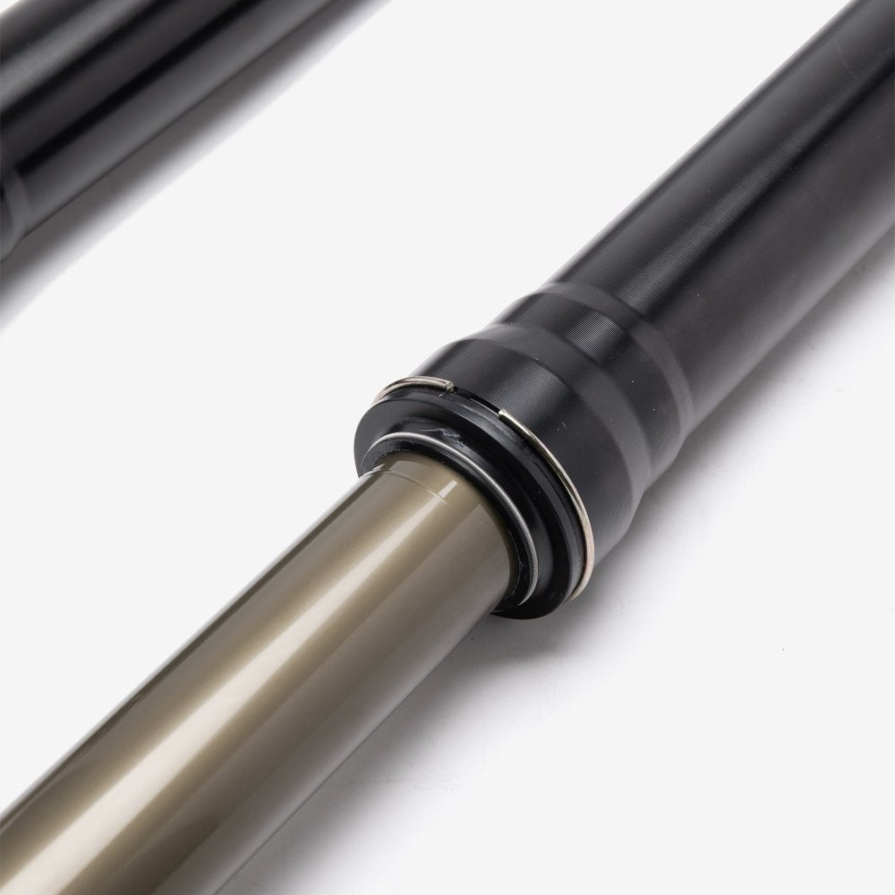 FastAce Front Suspension (Pair) - Gold Cap 4