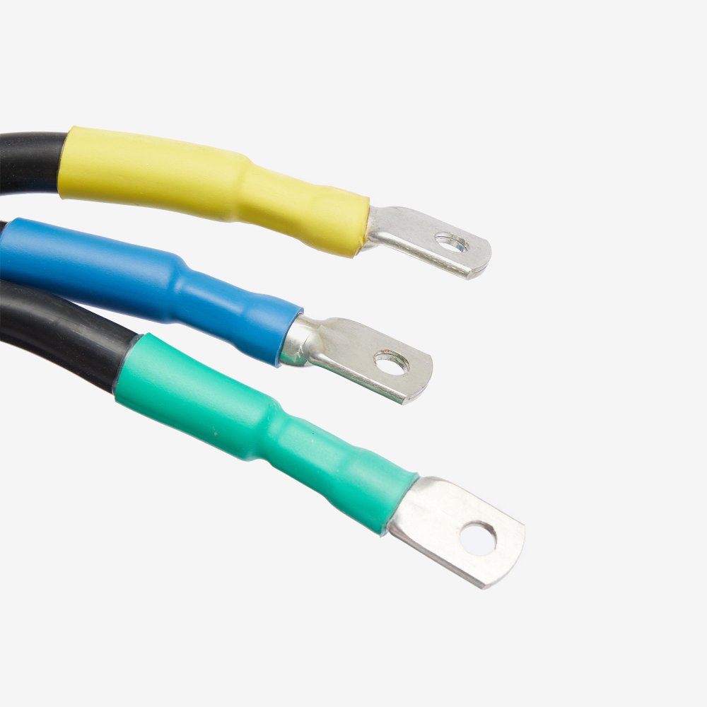 FW02 Motor with Encoder 6