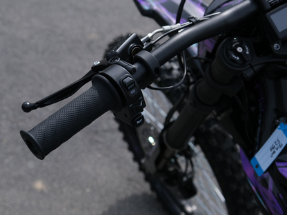 SWM BINSEN FP EDITION ELECTRIC PURPLE