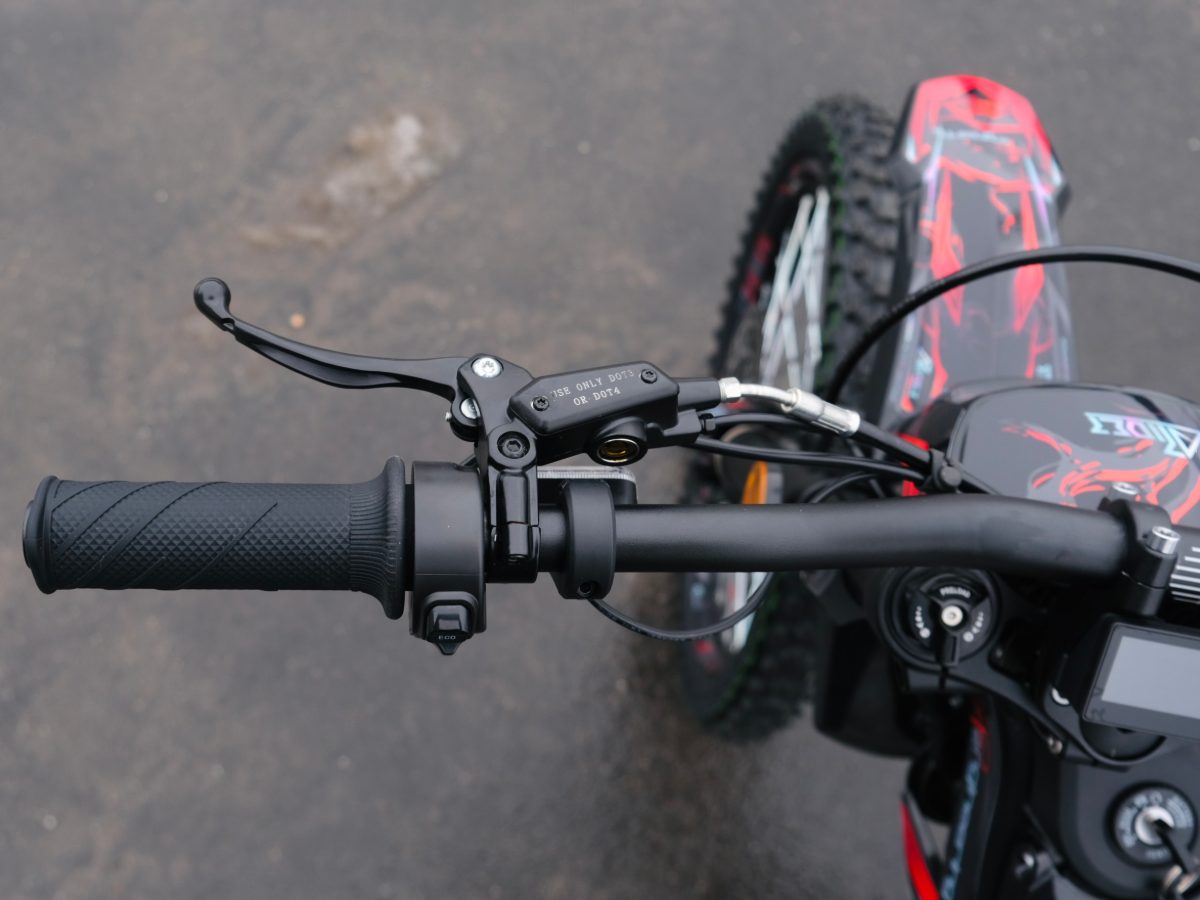 SWM BINSEN FP EDITION ELECTRIC RED