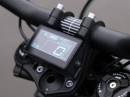 SWM BINSEN FP EDITION ELECTRIC BLUE