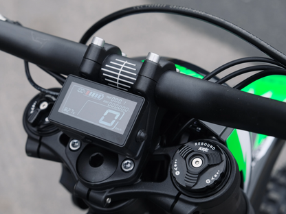 SWM BINSEN FP EDITION GREEN BLACK