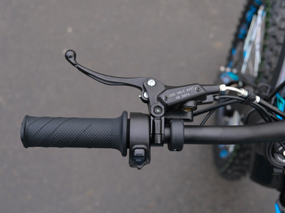 SWM BINSEN FP EDITION ELECTRIC BLUE