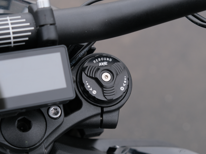 SWM BINSEN FP EDITION ELECTRIC RED