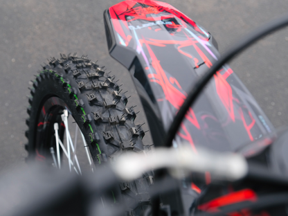 SWM BINSEN FP EDITION ELECTRIC RED