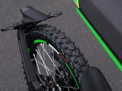 SWM BINSEN FP EDITION GREEN WHITE