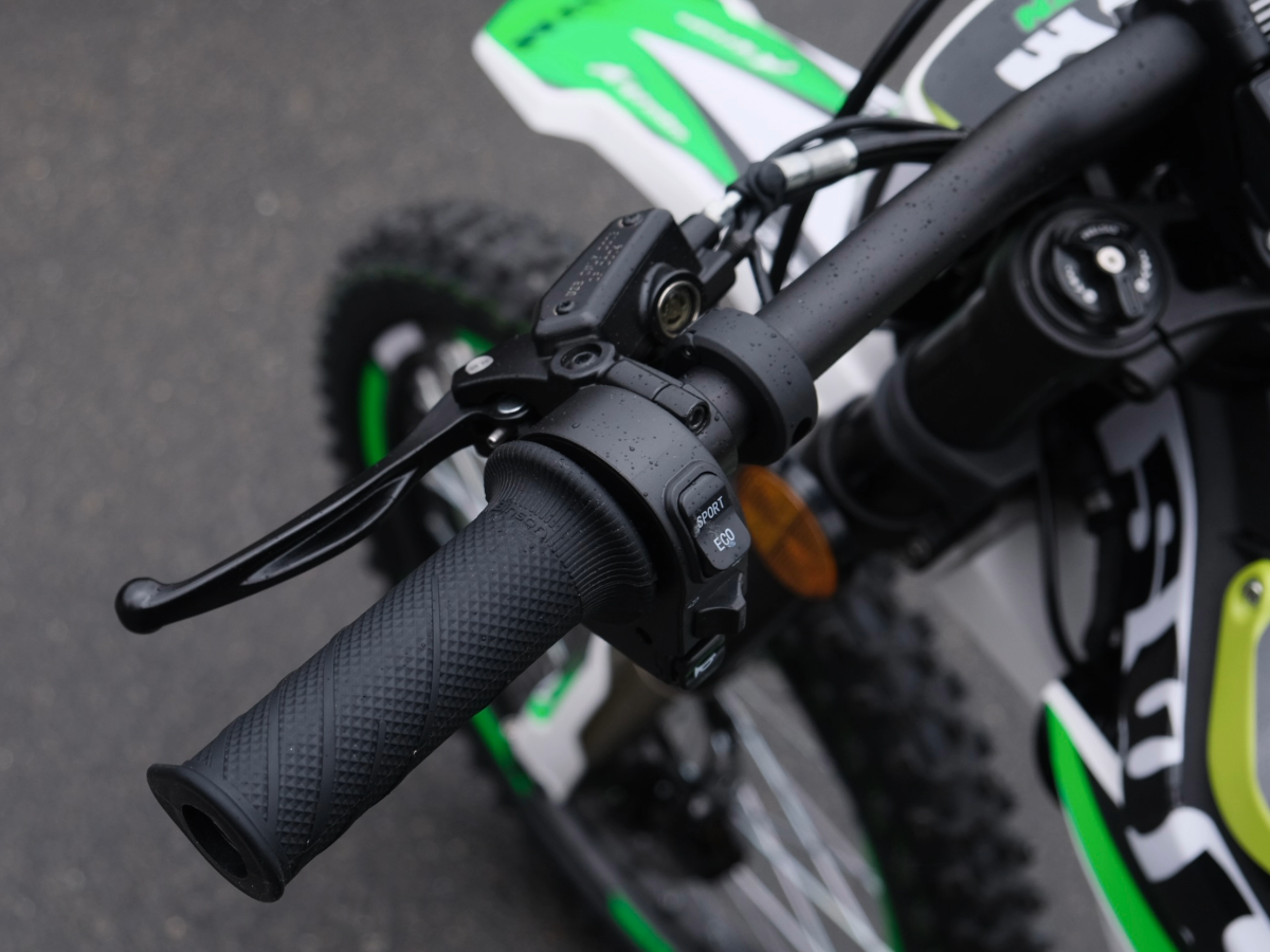 SWM BINSEN FP EDITION GREEN WHITE