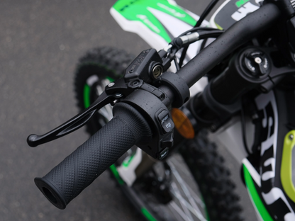 SWM BINSEN FP EDITION GREEN WHITE