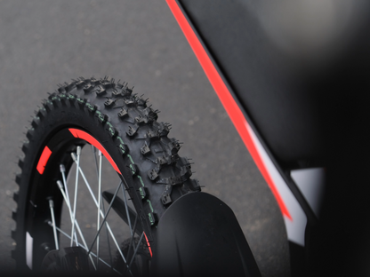 SWM BINSEN FP EDITION RED