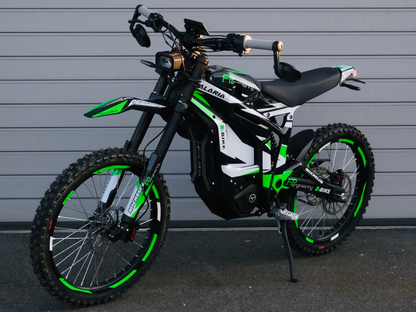 Talaria Sting TL3000 L1E Grün SONDERPREIS