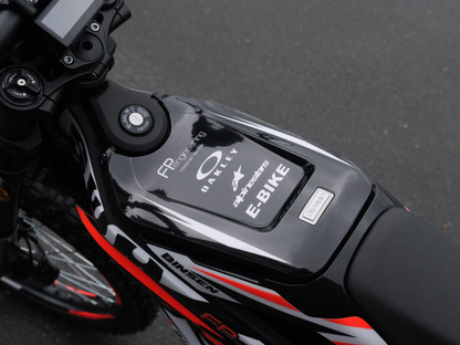 SWM BINSEN FP EDITION RED