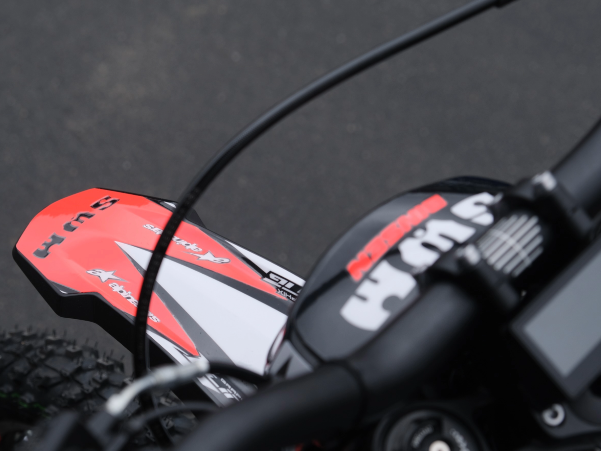 SWM BINSEN FP EDITION RED