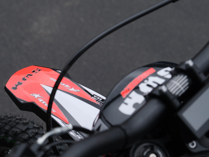 SWM BINSEN FP EDITION RED