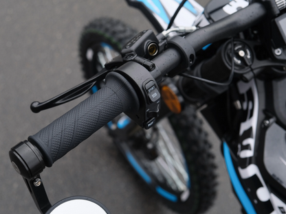 SWM BINSEN FP EDITION BLUE