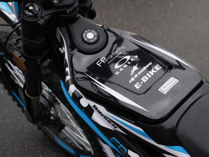 SWM BINSEN FP EDITION BLUE